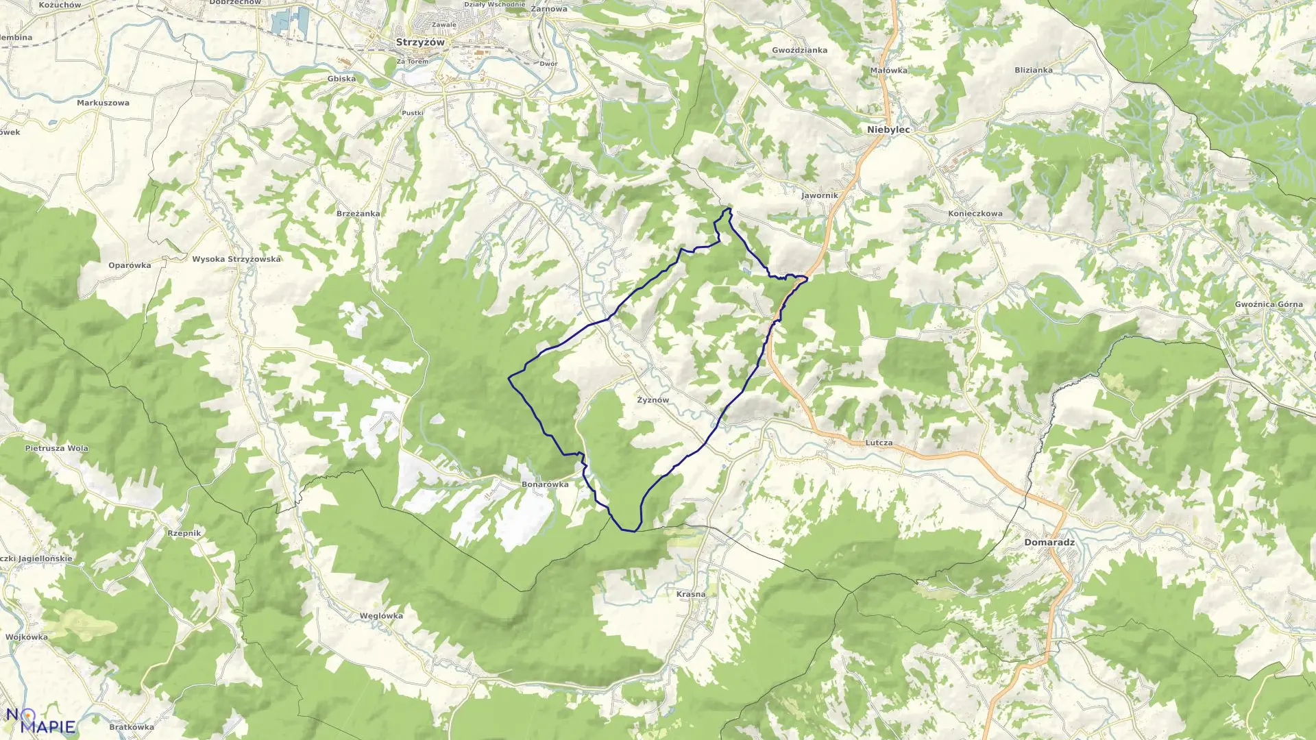 Mapa obrębu ŻYZNÓW w gminie Strzyżów